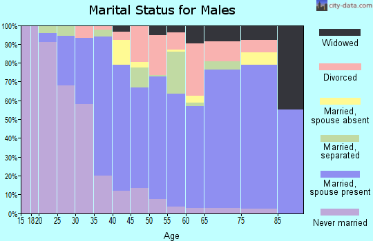 Zip code 29569 marital status for males