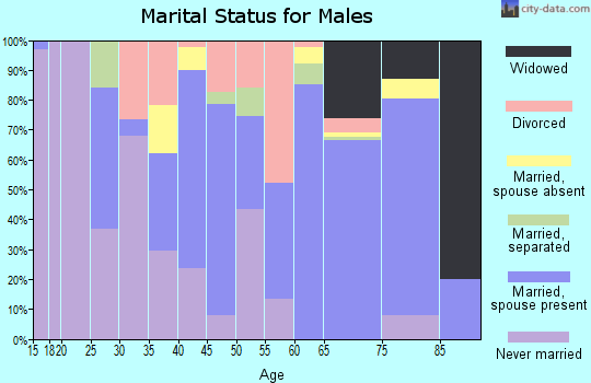 Zip code 29570 marital status for males
