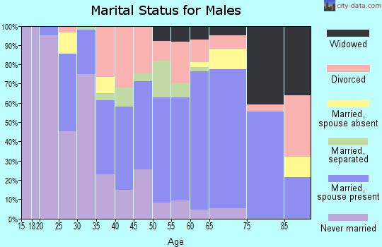 Zip code 29571 marital status for males