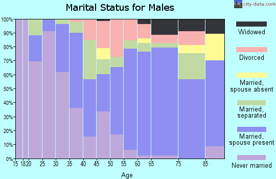 Zip code 29574 marital status for males