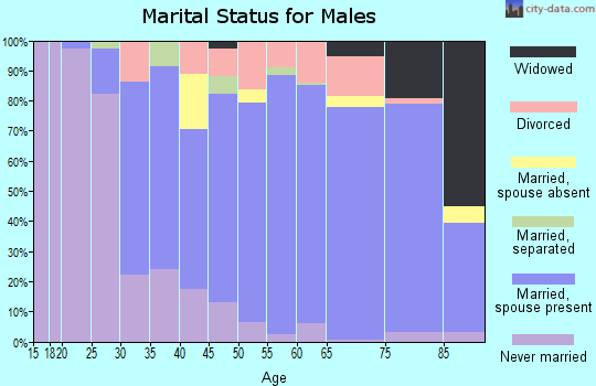 Zip code 29575 marital status for males