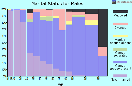 Zip code 29579 marital status for males