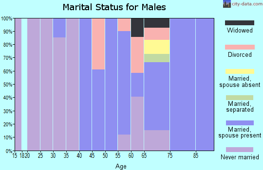 Zip code 29580 marital status for males
