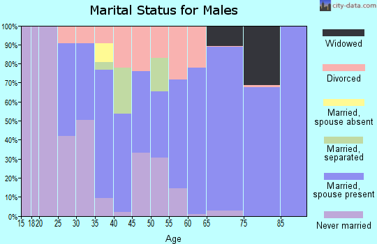 Zip code 29581 marital status for males
