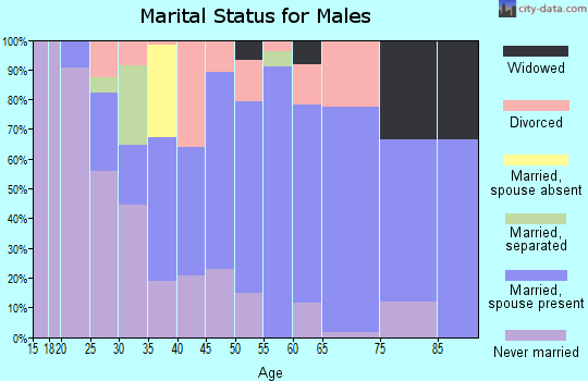 Zip code 29583 marital status for males