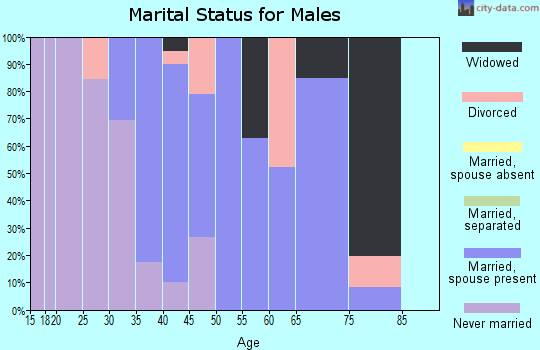 Zip code 29584 marital status for males
