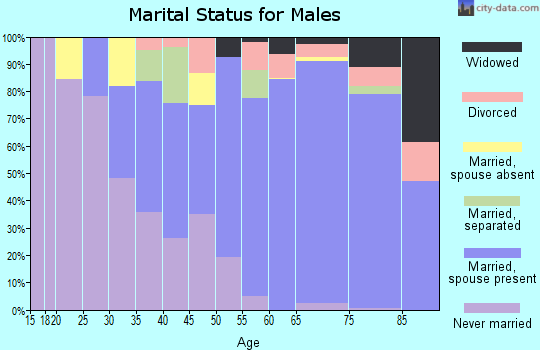 Zip code 29585 marital status for males