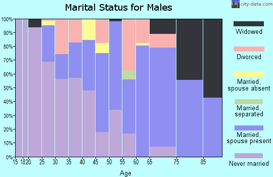 Zip code 29591 marital status for males