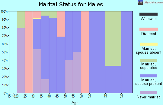 Zip code 29592 marital status for males