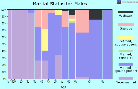 Zip code 29593 marital status for males