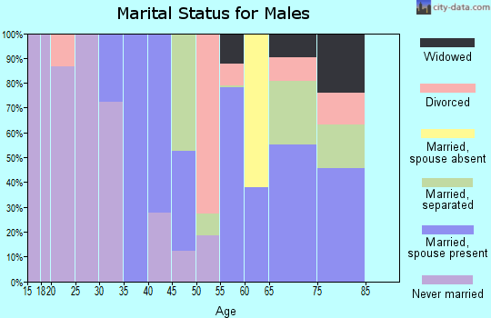 Zip code 29596 marital status for males