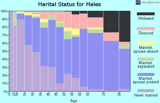 Zip code 29605 marital status for males