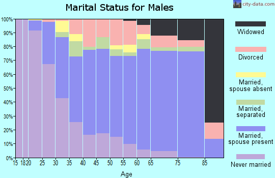 Zip code 29607 marital status for males