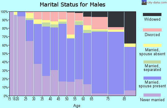 Zip code 29609 marital status for males