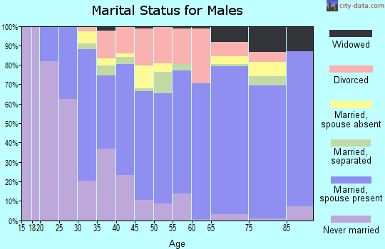Zip code 29617 marital status for males