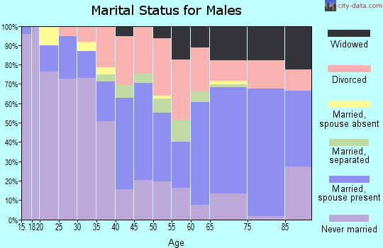 Zip code 29624 marital status for males