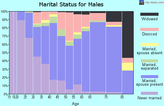Zip code 29625 marital status for males