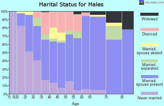 Zip code 29626 marital status for males