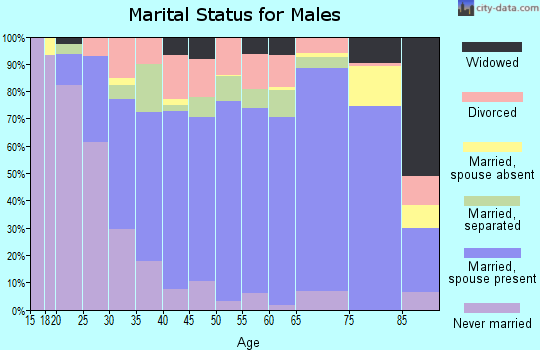 Zip code 29627 marital status for males
