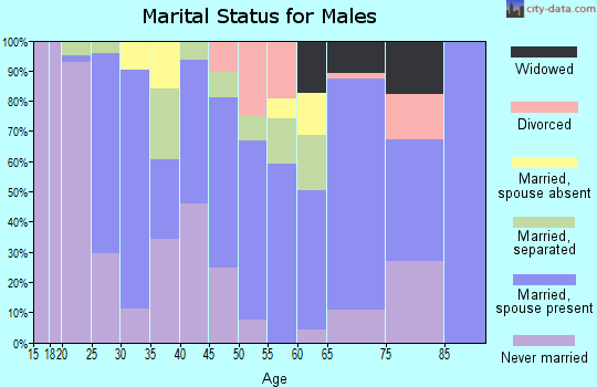 Zip code 29628 marital status for males