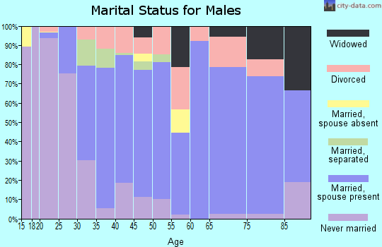 Zip code 29630 marital status for males