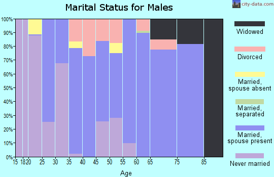 Zip code 29638 marital status for males