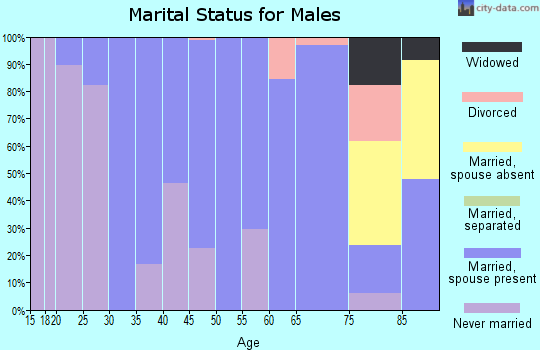 Zip code 29639 marital status for males
