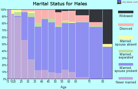 Zip code 29640 marital status for males
