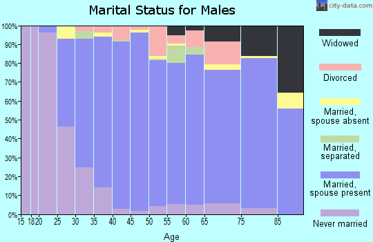 Zip code 29642 marital status for males