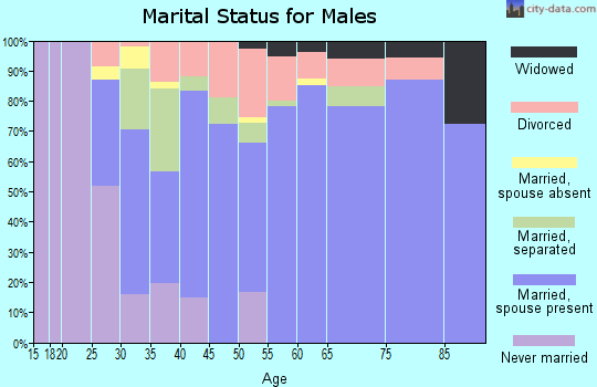 Zip code 29644 marital status for males