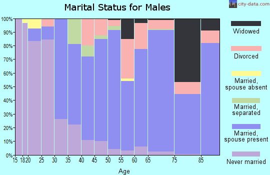 Zip code 29645 marital status for males