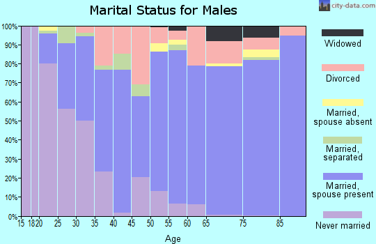 Zip code 29649 marital status for males