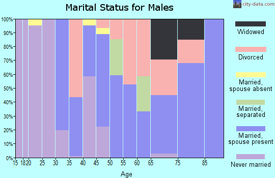 Zip code 29653 marital status for males