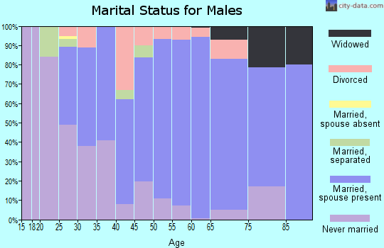Zip code 29654 marital status for males
