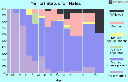 Zip code 29655 marital status for males