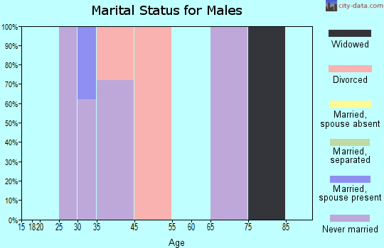 Zip code 29656 marital status for males
