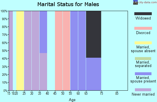 Zip code 29658 marital status for males