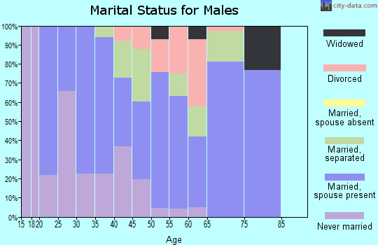 Zip code 29661 marital status for males