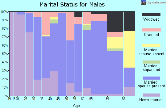 Zip code 29666 marital status for males