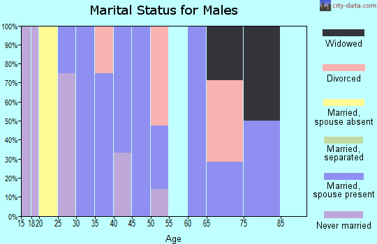 Zip code 29667 marital status for males