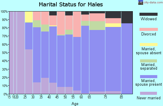 Zip code 29669 marital status for males