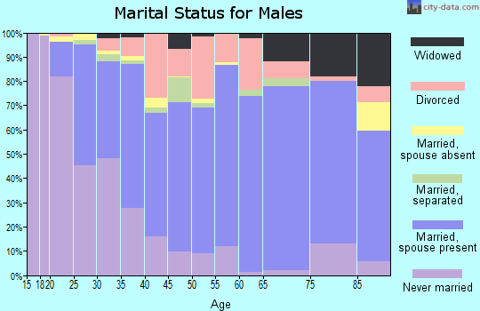 Zip code 29671 marital status for males