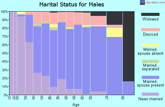 Zip code 29673 marital status for males
