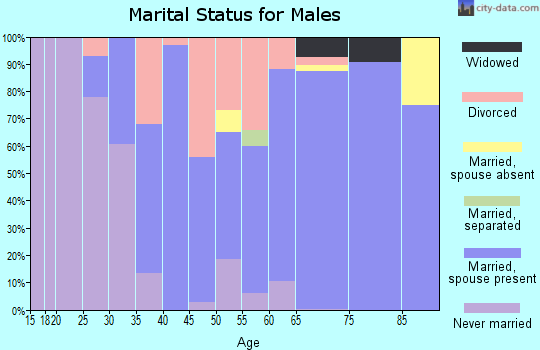 Zip code 29676 marital status for males