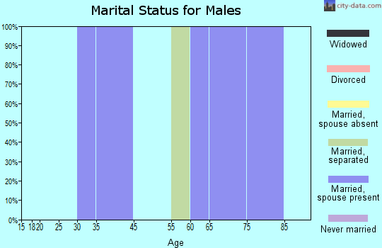 Zip code 29677 marital status for males