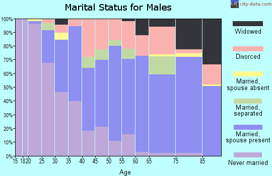 Zip code 29678 marital status for males