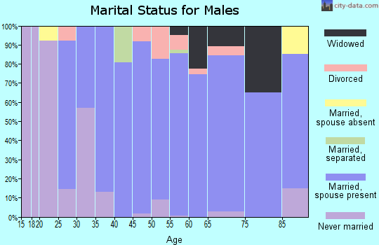 Zip code 29682 marital status for males