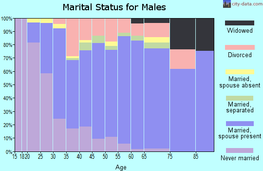 Zip code 29687 marital status for males
