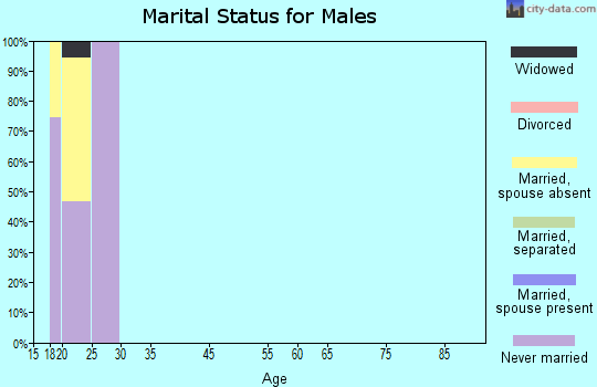 Zip code 29688 marital status for males