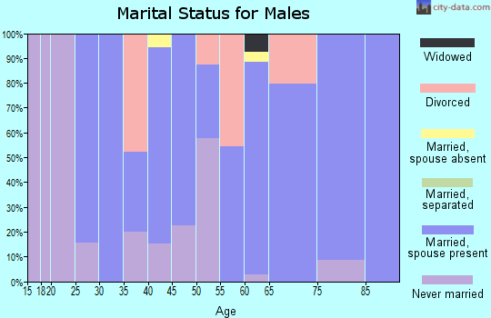 Zip code 29689 marital status for males